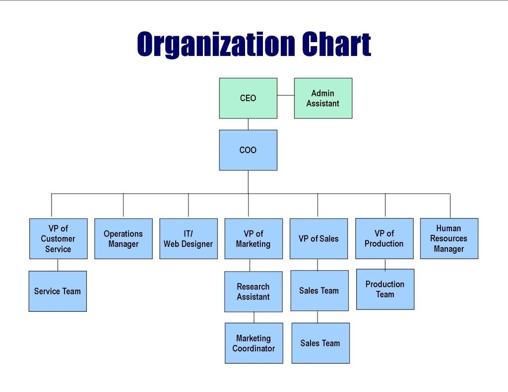 company organization chart template